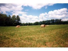 286 West Candor Road Candor, NY 13743 - Photo 3 of 4 Gallery Image 3