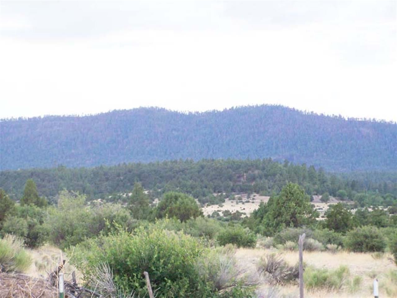 2 County Road Nutrioso, AZ 85932 - Photo 3 of 9