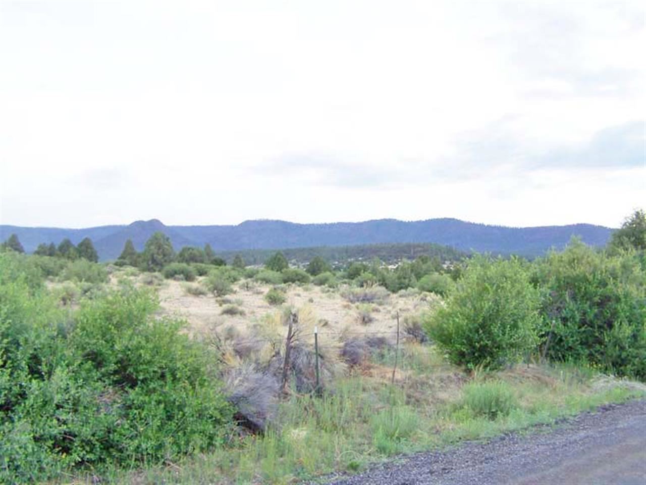 2 County Road Nutrioso, AZ 85932 - Photo 4 of 9