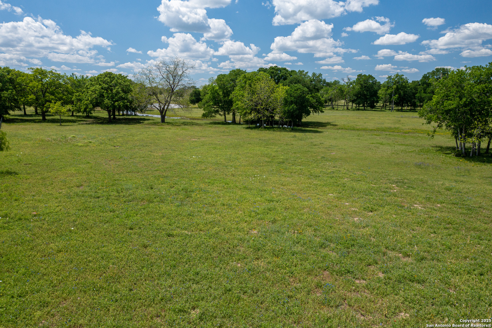 9560 Old Colony Line Road Dale, TX 78616 - Photo 39 of 41 a view of a green field and trees