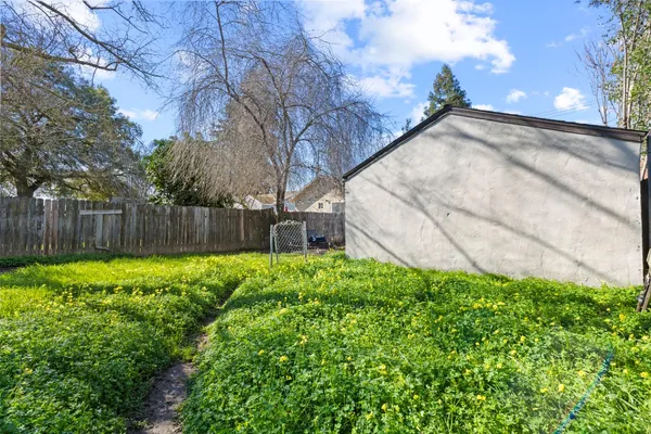 a view of backyard with tree