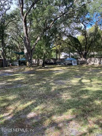 a view of a trees in a yard