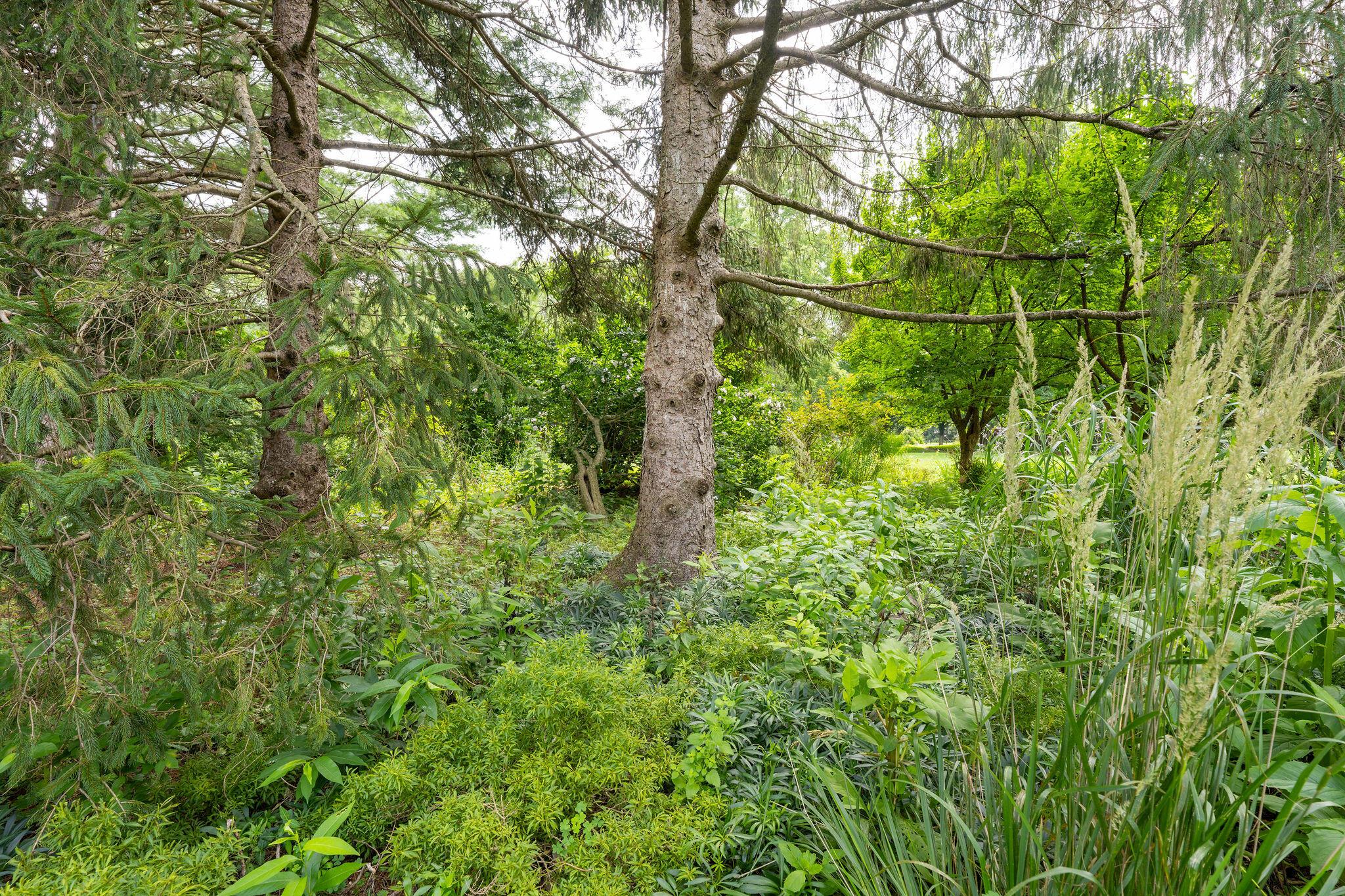 1350 Carriage Road Powell, OH 43065 - Photo 76 of 80 1350CarriageRdGardenAreas-9