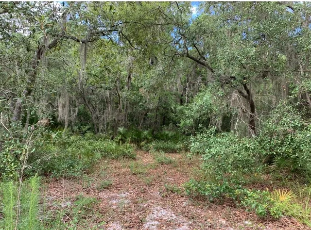 $64,900 | 15380 Fiddlers Way, Perry, FL 32348