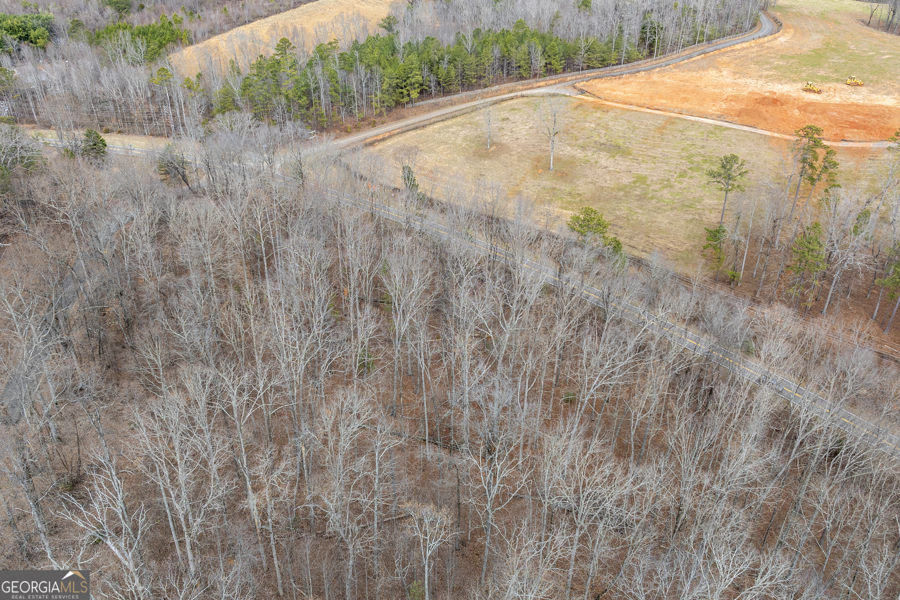 0 Cowart Mountain Tract 1 Road Jasper, GA 30143 - Photo 11 of 13