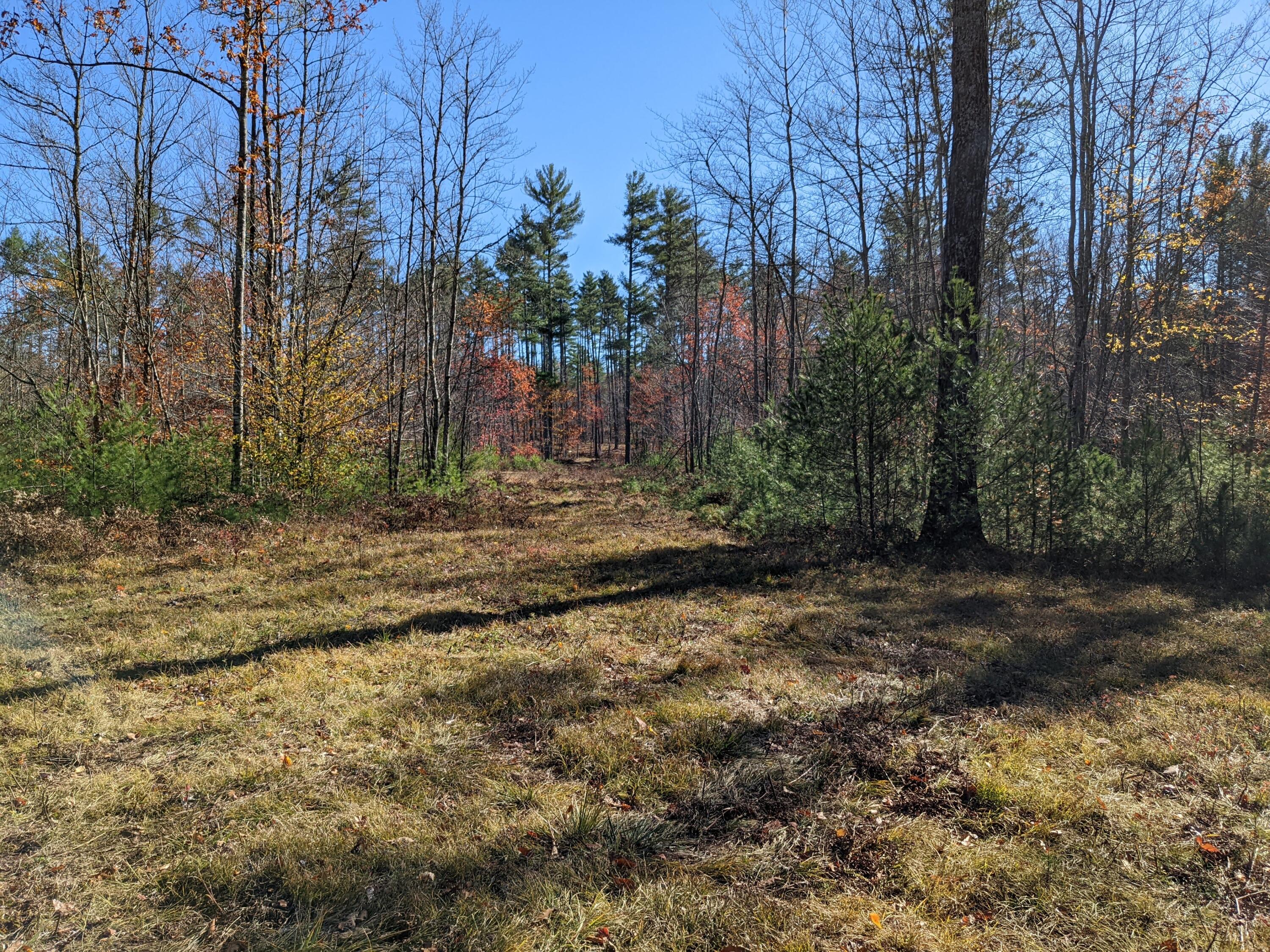 Lot # Highland Park Road Fryeburg, ME 04037 - Photo 1 of 15 Lot D