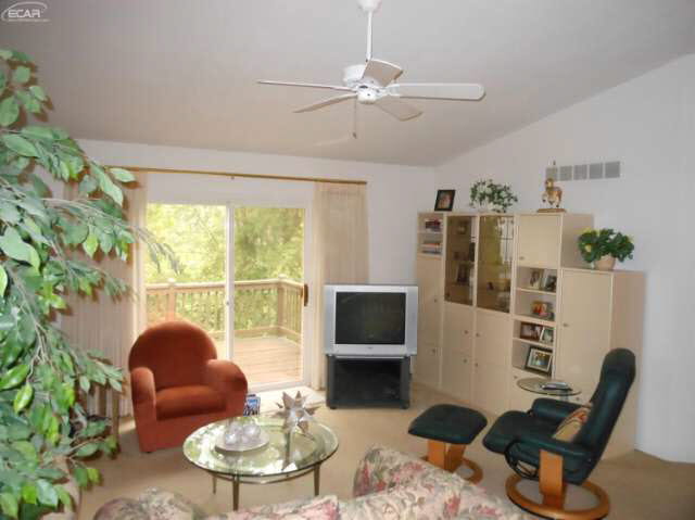 21178365-4.JPG