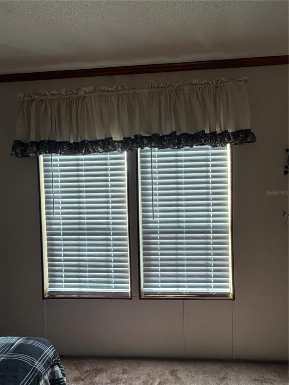 4945 Southwest Highway 358 Steinhatchee, FL 32359 - Photo 17 of 35 a view of a livingroom with a window