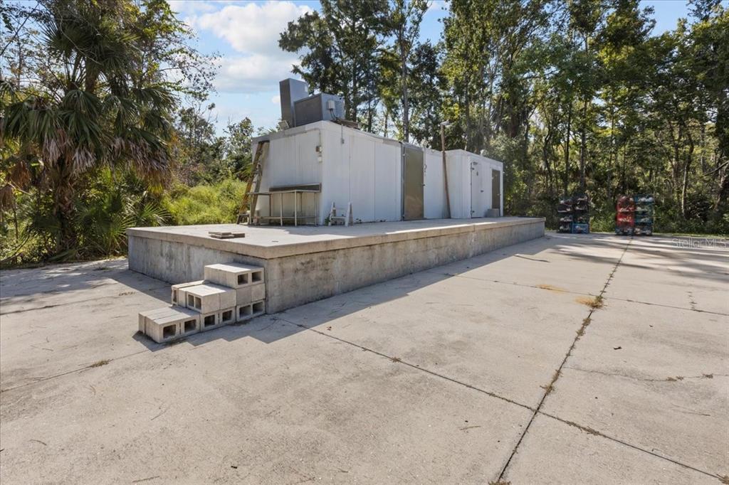 4945 Southwest Highway 358 Steinhatchee, FL 32359 - Photo 33 of 33 a view of backyard and fire pit