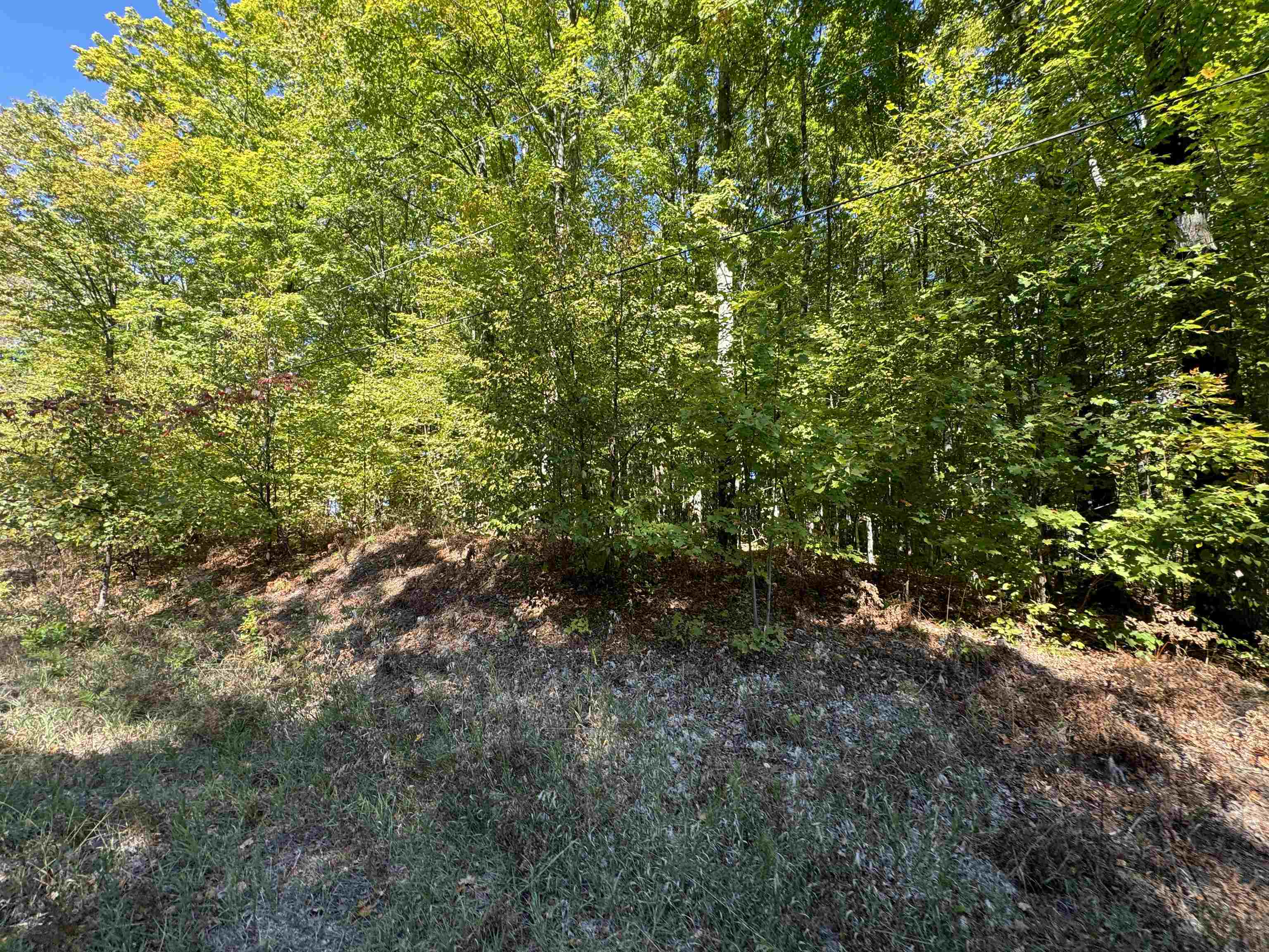 Lot 279 West 6th Road Buckley, MI 49620 - Photo 8 of 19 Gallery Image 8