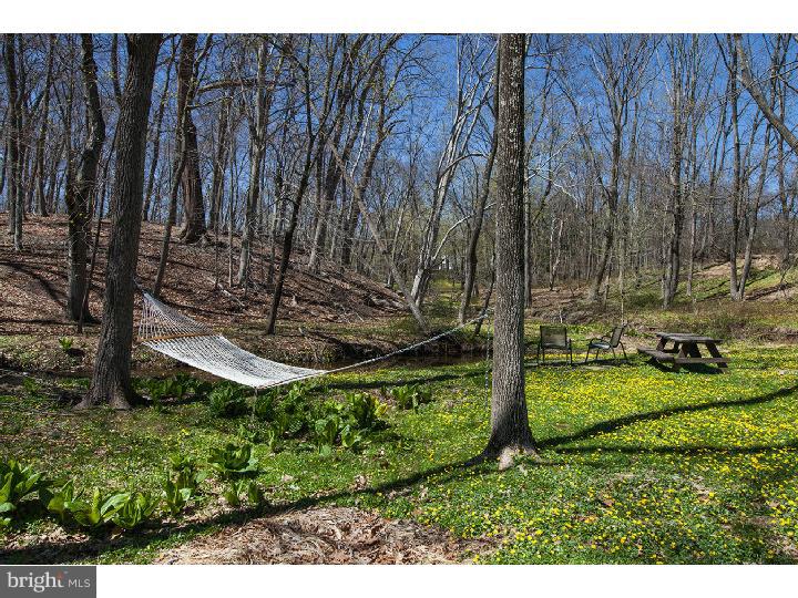 6764 Phillips Mill Road New Hope, PA 18938 - Photo 23 of 25