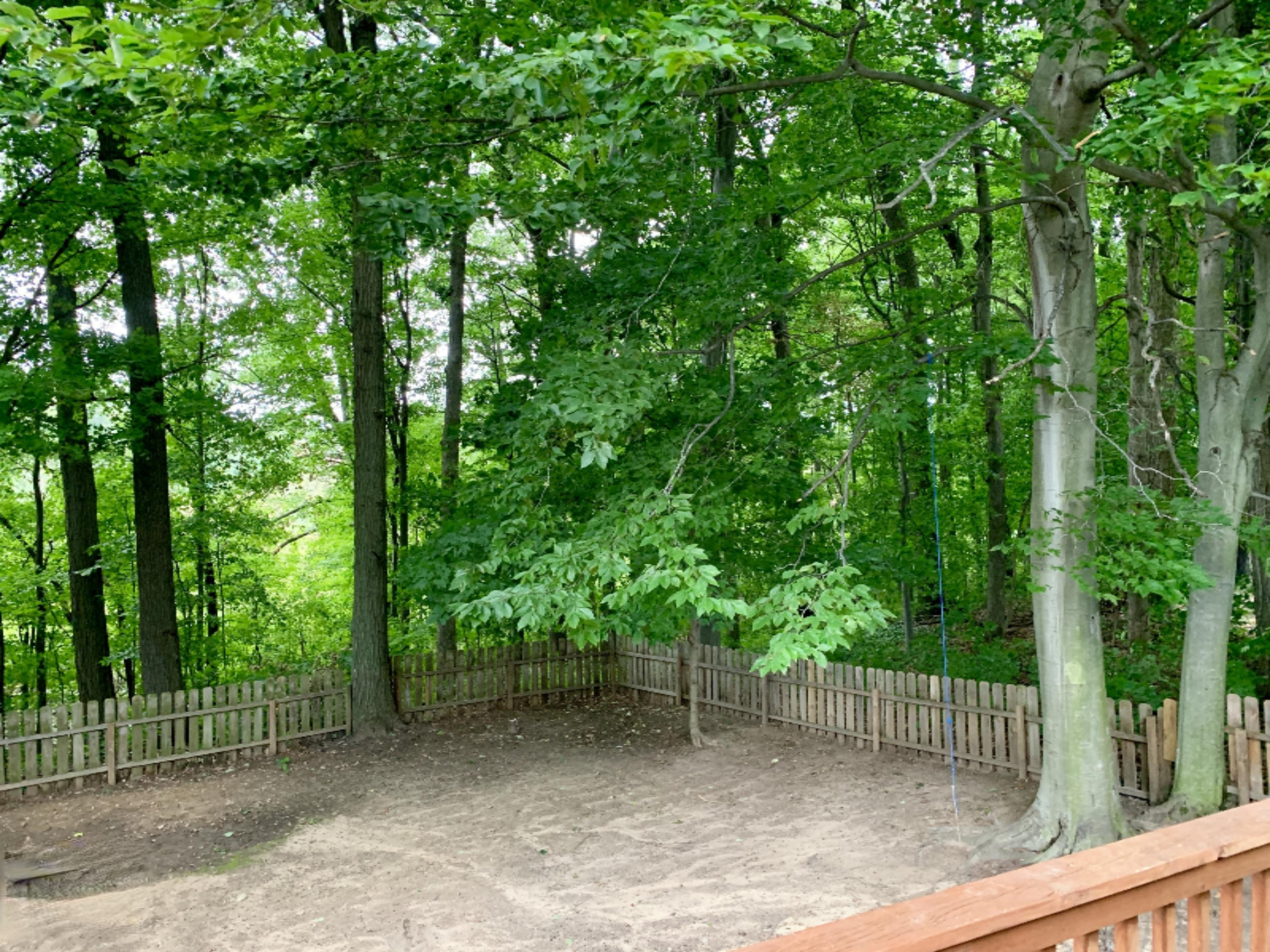 50890 Cable Park Road Dowagiac, MI 49047 - Photo 31 of 35 back yard