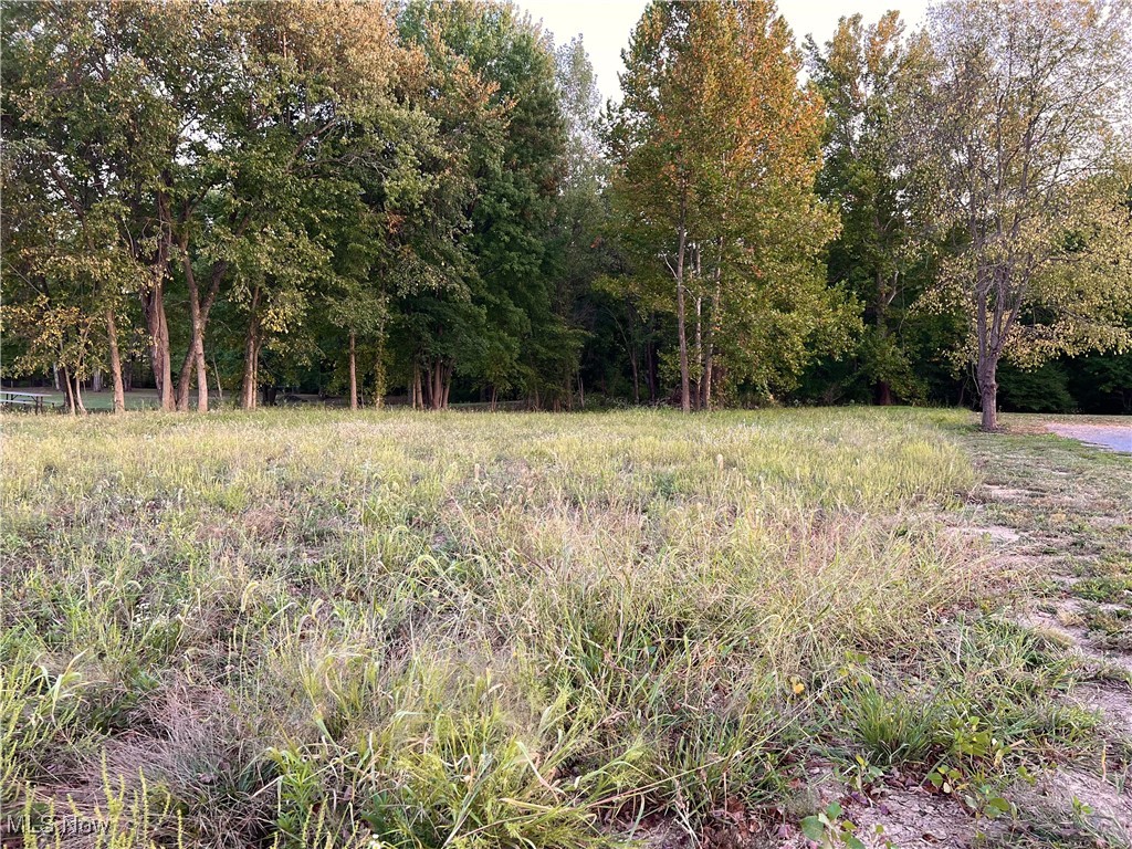 Rutledge Street Dennison, OH 44621 - Photo 1 of 3 View of nature