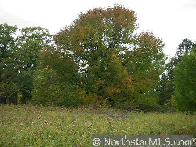 Xxx 890th Street Spring Valley, WI 54767 - Photo 2 of 5