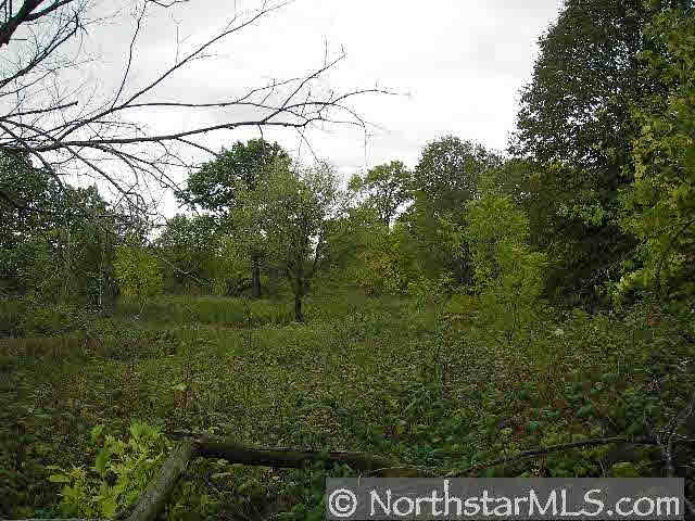 Xxx 890th Street Spring Valley, WI 54767 - Photo 3 of 5