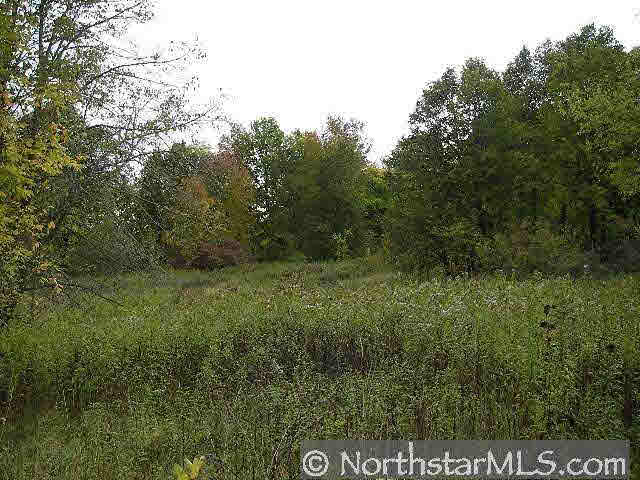Xxx 890th Street Spring Valley, WI 54767 - Photo 4 of 5