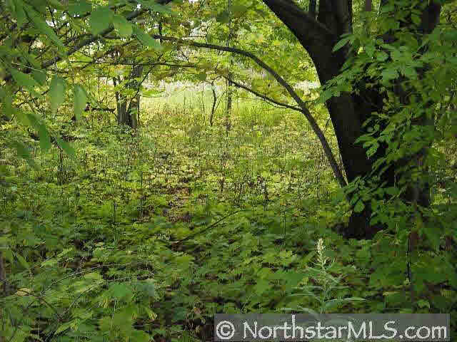 Xxx 890th Street Spring Valley, WI 54767 - Photo 5 of 5
