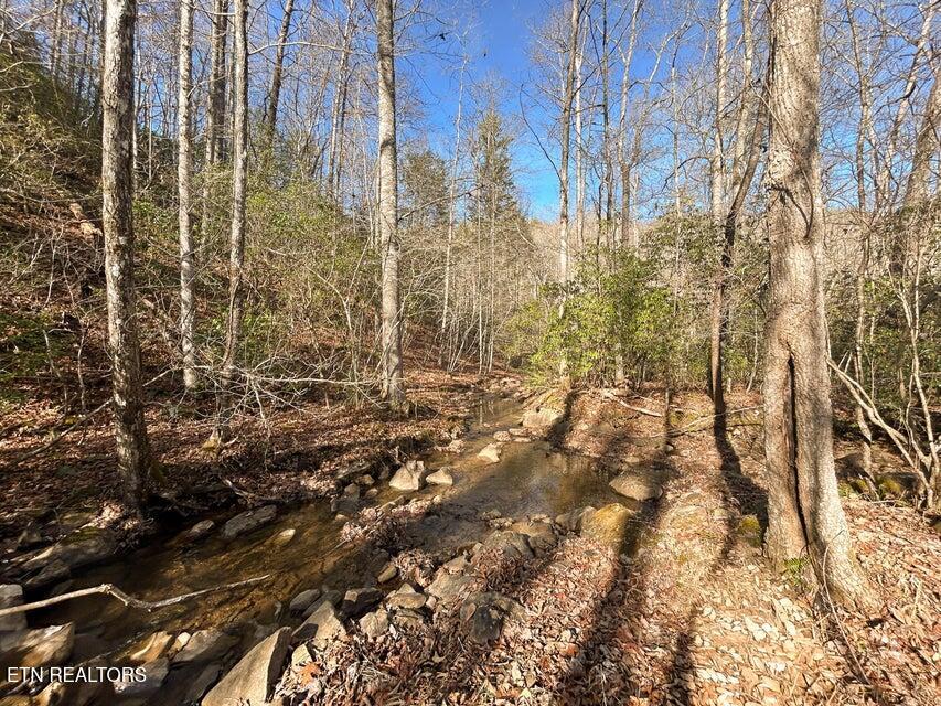 0 Deerhead Road Dunlap, TN 37327 - Photo 1 of 28 1