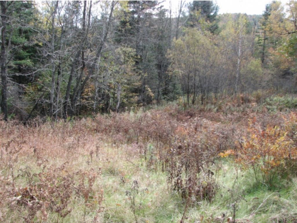 22 Cross Road Dorchester, NH 03266 - Photo 5 of 16 Gallery Image 5