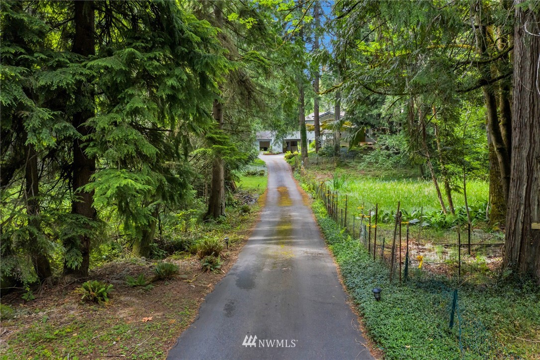 23304 35th Avenue Southeast Bothell, WA 98021 - Photo 3 of 34 a view of a pathway of a park with large trees