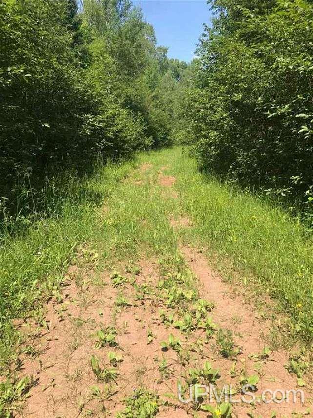 Tbd Off 850 Road Ontonagon, MI 49953 - Photo 2 of 3