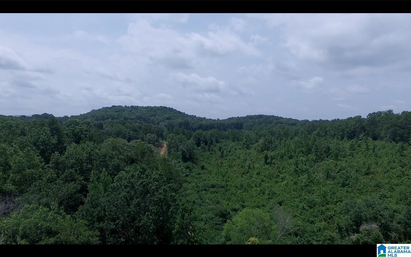 830 Mountain View Road, Unit 1 Talladega, AL 35160 - Photo 2 of 11