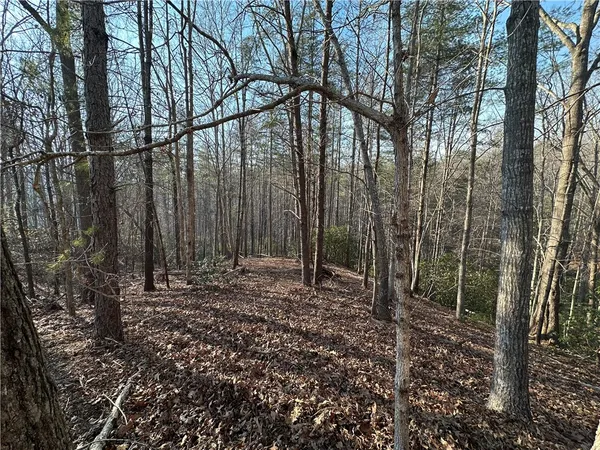 $40,000 | 100 Fire Pink Court, Sunset, SC 29685