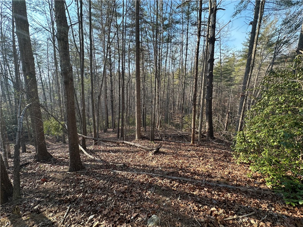 100 Fire Pink Court Sunset, SC 29685 - Photo 2 of 4