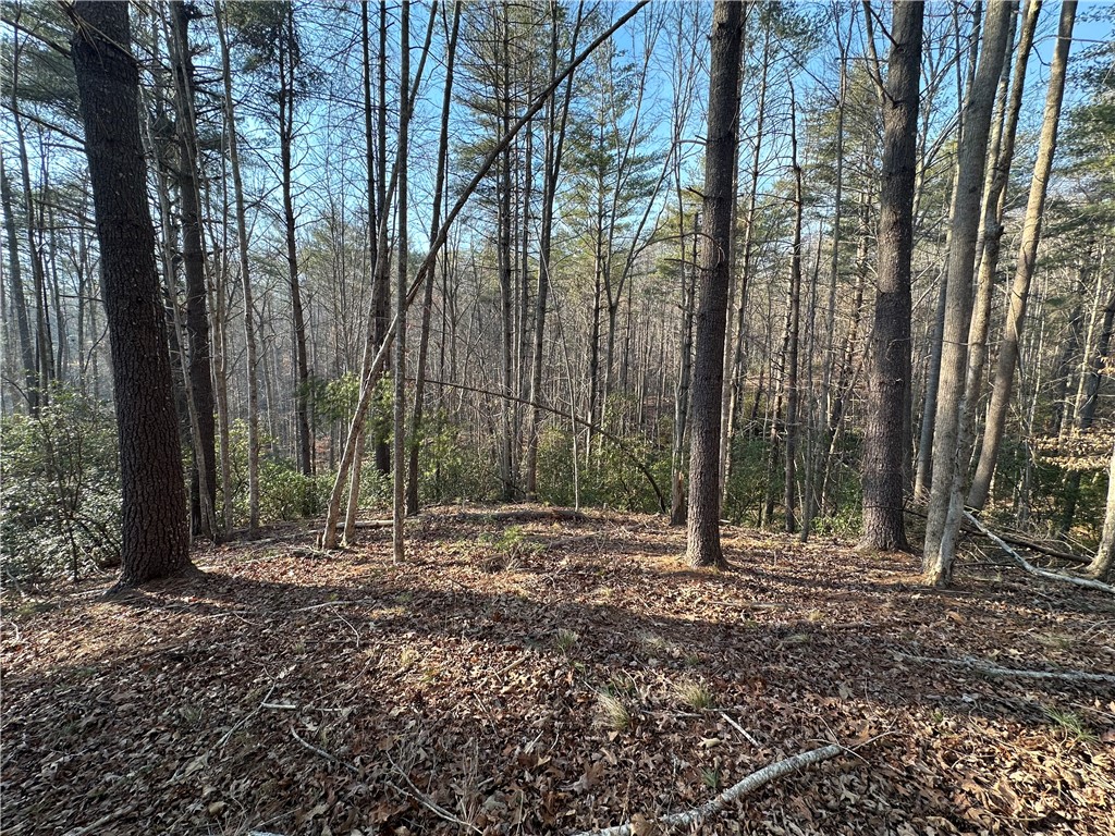 100 Fire Pink Court Sunset, SC 29685 - Photo 3 of 4