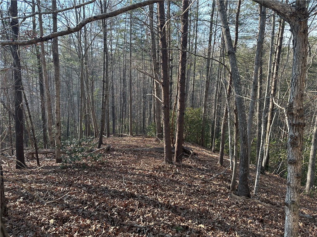 100 Fire Pink Court Sunset, SC 29685 - Photo 4 of 4