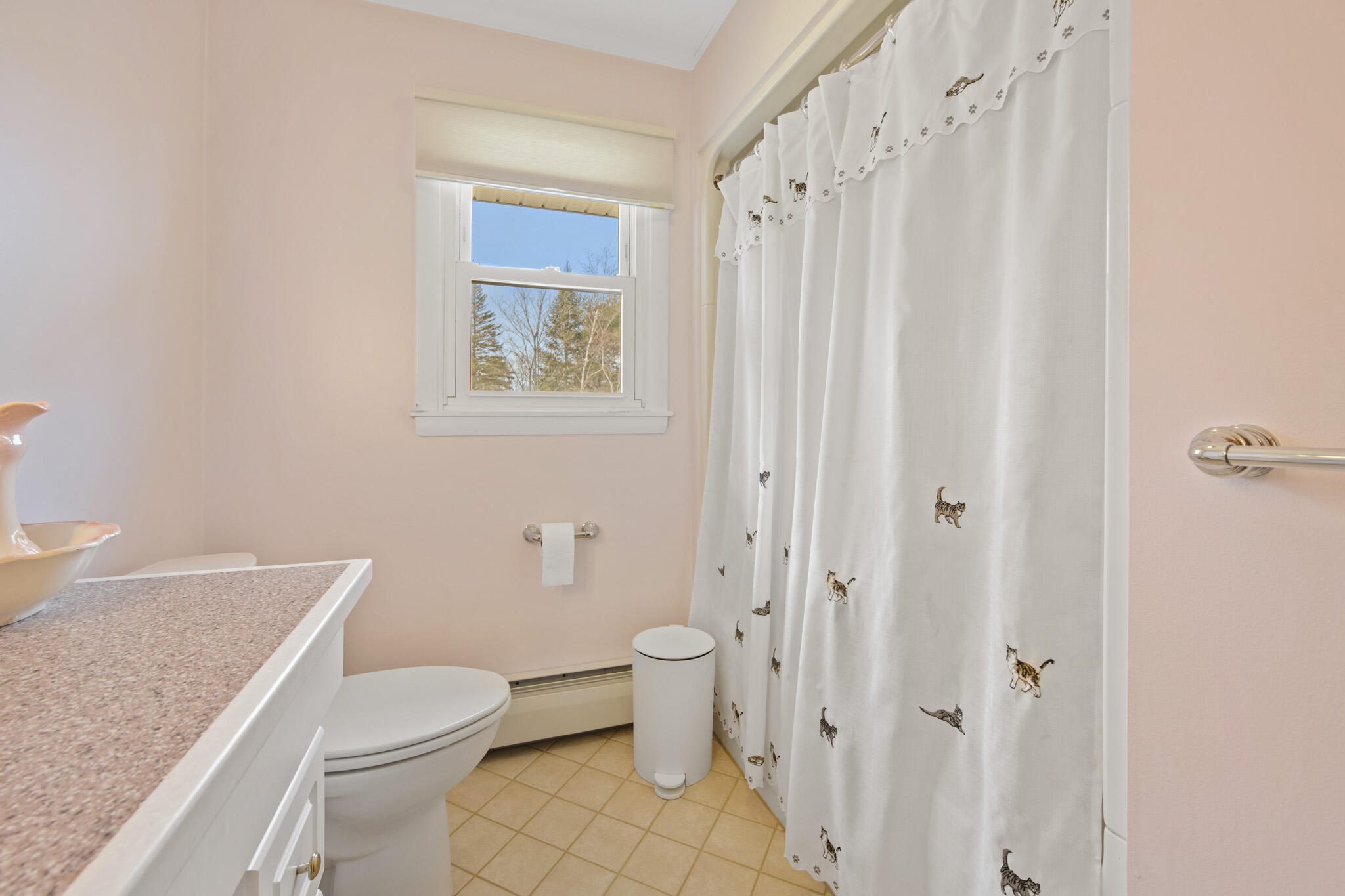 31 Sunset Strip Brewer, ME 04412 - Photo 23 of 45 DSC_7062