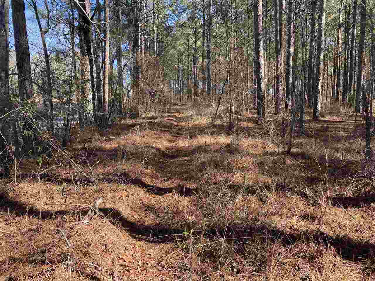 0 Spring Water Ranch Road, Unit 3 Mendenhall, MS 39114 - Photo 1 of 5 Photo 1