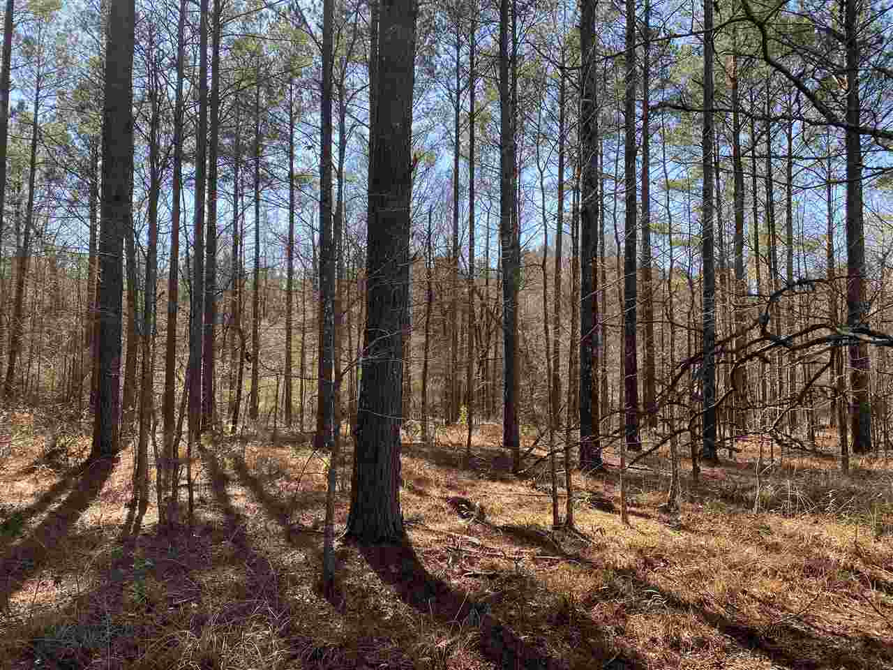 0 Spring Water Ranch Road, Unit 3 Mendenhall, MS 39114 - Photo 3 of 5 Photo 3