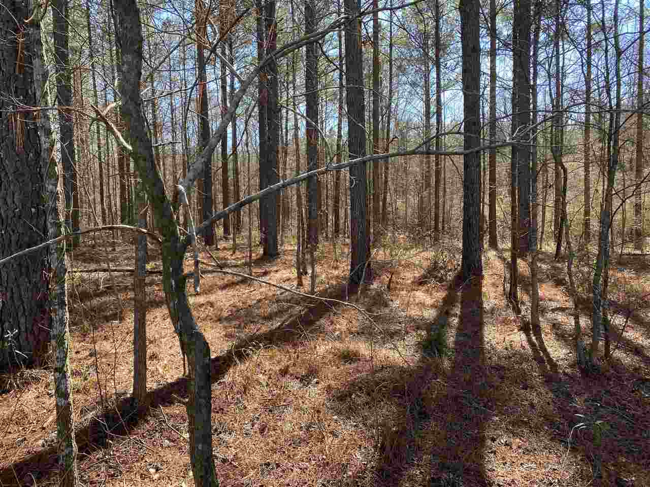 0 Spring Water Ranch Road, Unit 3 Mendenhall, MS 39114 - Photo 4 of 5 Photo 4