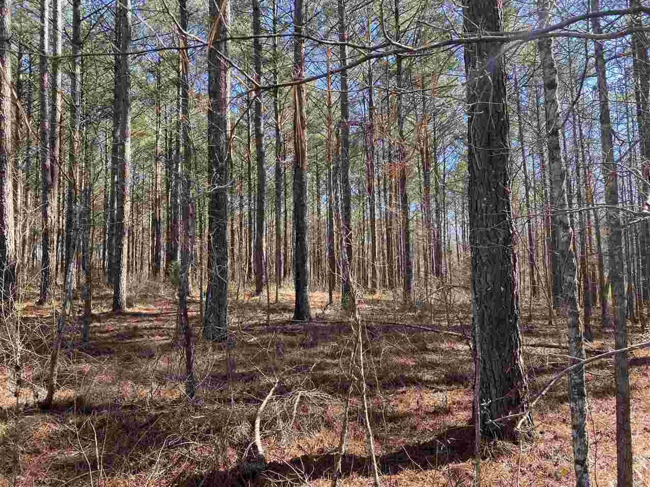 0 Spring Water Ranch Road, Unit 3 Mendenhall, MS 39114 - Photo 5 of 5 Photo 5