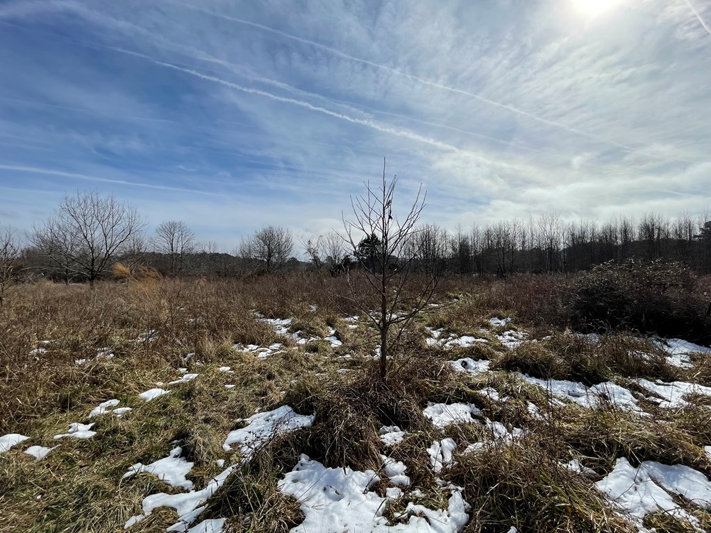 3.65 Old Neck Road, Unit 1 Weems, VA 22576 - Photo 4 of 35
