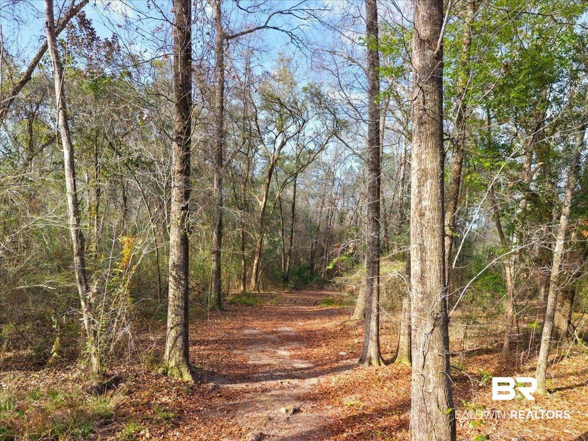 Chene Trace Robertsdale, AL 36567 - Photo 15 of 22 View of wooded area
