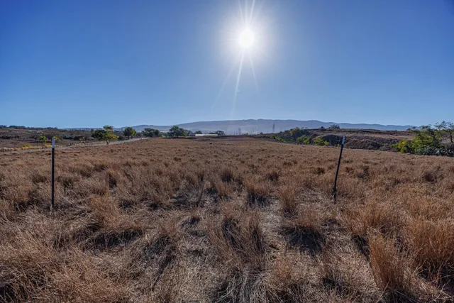 a view of a dry yard with wooden fence