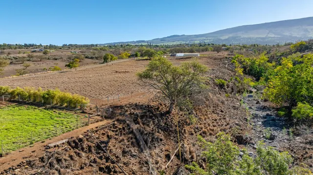 a view of a pathway with a yard