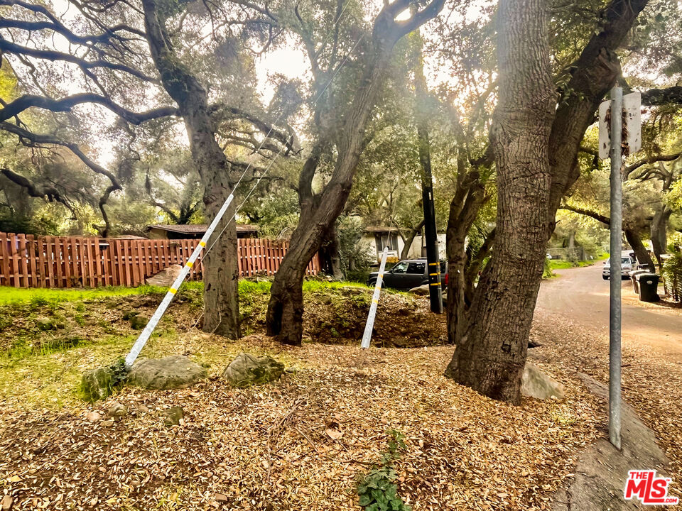 25614 Timpangos Drive Calabasas, CA 91302 - Photo 20 of 21 a view of a park with a tree