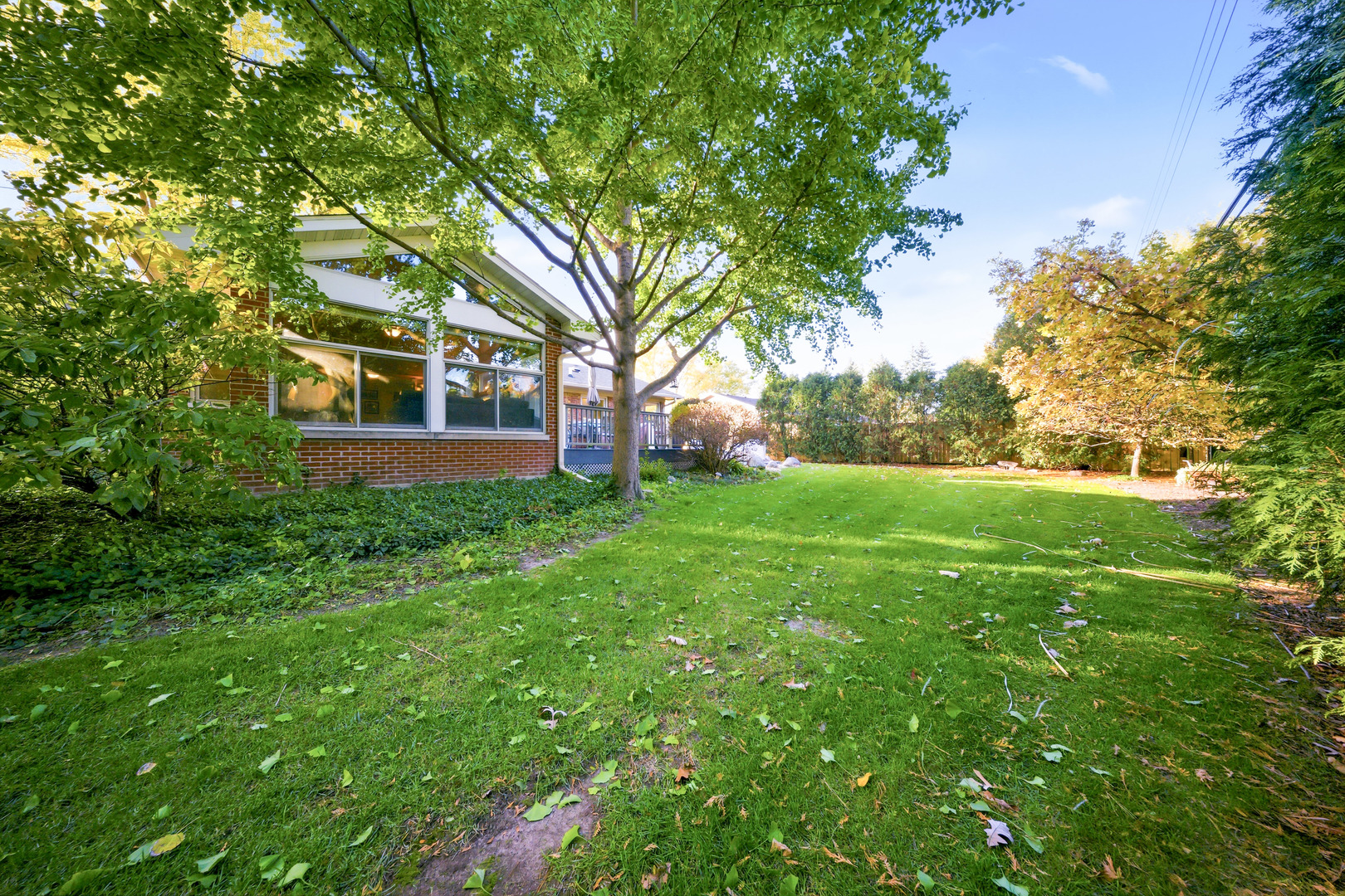1360 Florence Drive Sycamore, IL 60178 - Photo 5 of 48 a view of a house with yard and tree s