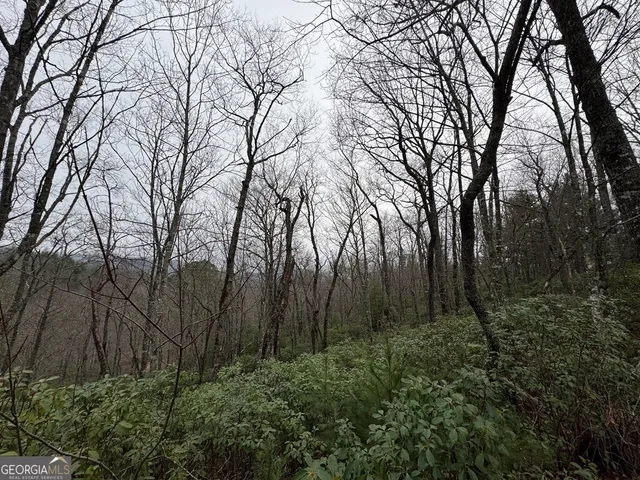 $47,000 | Lot 21 Whisper Ridge, Unit 21, Hiawassee, GA 30546