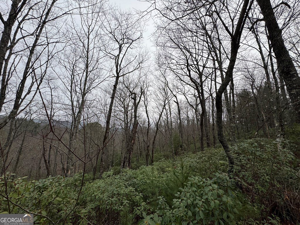 Lot 21 Whisper Ridge, Unit 21 Hiawassee, GA 30546 - Photo 11 of 18