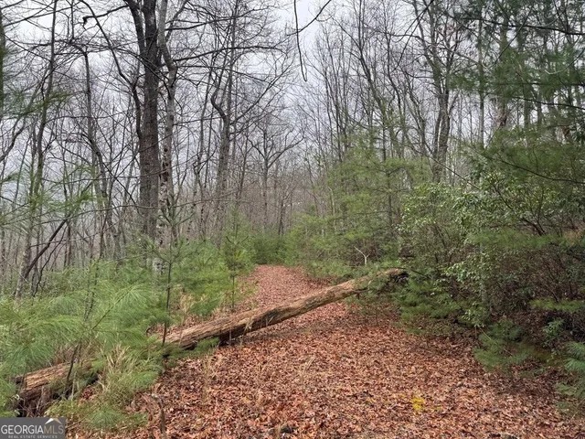 $47,000 | Lot 21 Whisper Ridge, Unit 21, Hiawassee, GA 30546