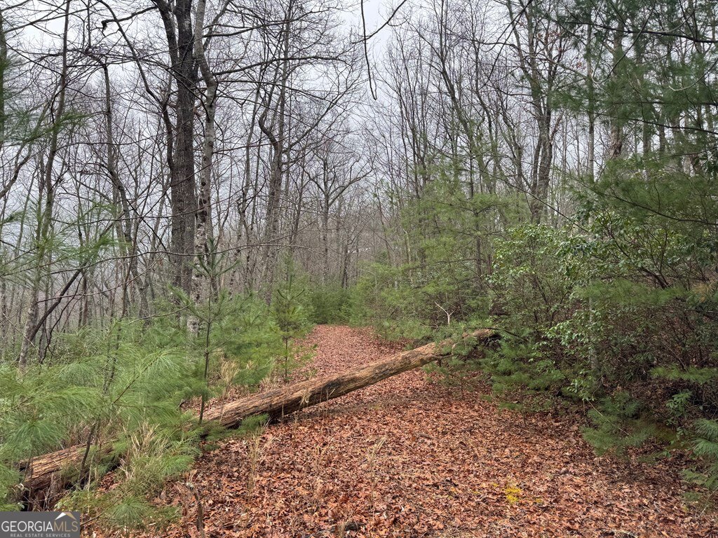 Lot 21 Whisper Ridge, Unit 21 Hiawassee, GA 30546 - Photo 12 of 18