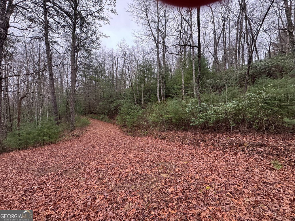 Lot 21 Whisper Ridge, Unit 21 Hiawassee, GA 30546 - Photo 13 of 18