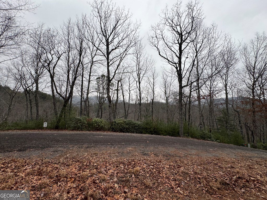 Lot 21 Whisper Ridge, Unit 21 Hiawassee, GA 30546 - Photo 3 of 18