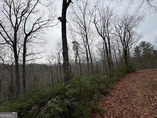 $47,000 | Lot 21 Whisper Ridge, Unit 21, Hiawassee, GA 30546
