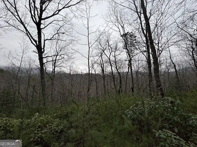 $47,000 | Lot 21 Whisper Ridge, Unit 21, Hiawassee, GA 30546