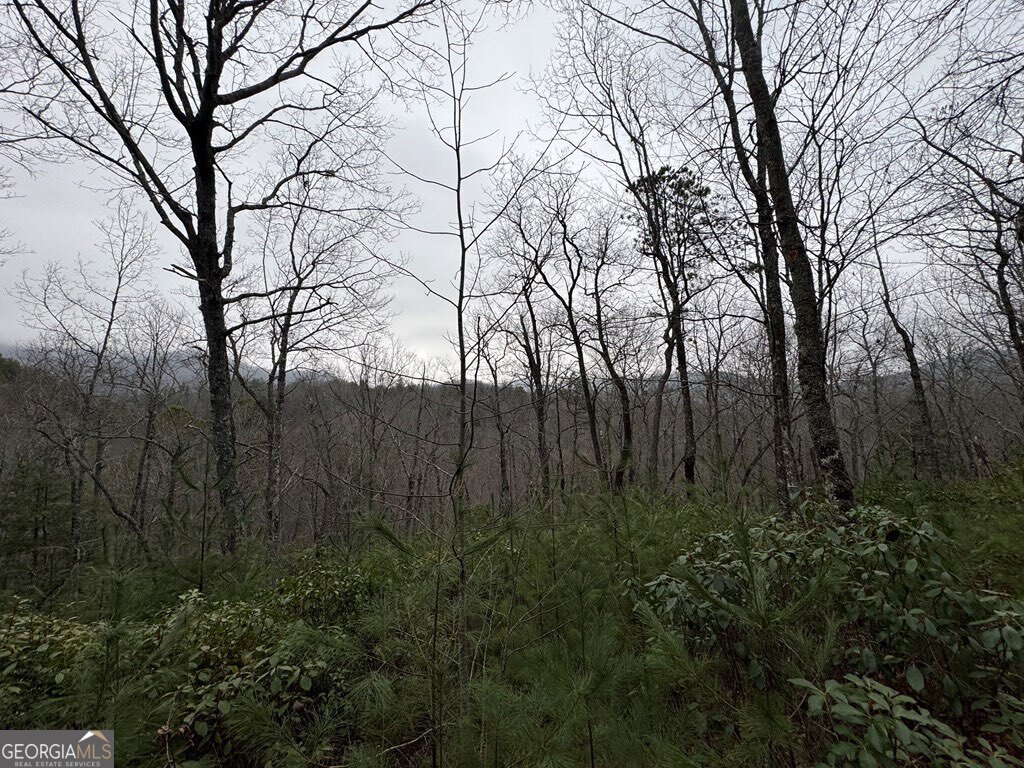 Lot 21 Whisper Ridge, Unit 21 Hiawassee, GA 30546 - Photo 7 of 18